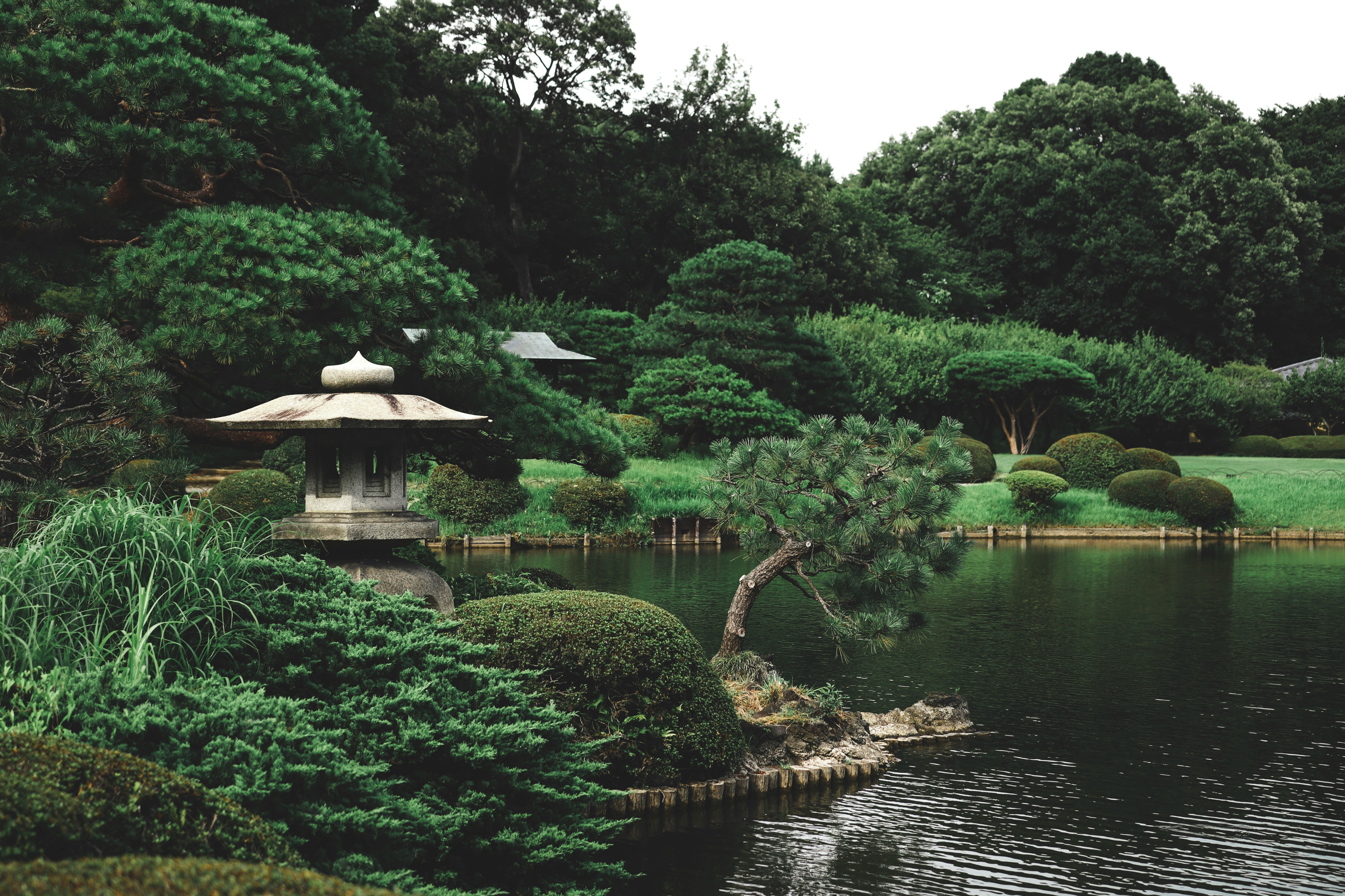 個人邸 日本庭園